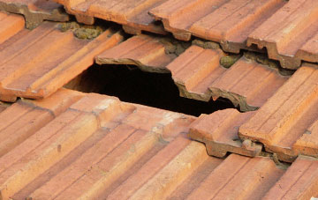 roof repair Golden Park, Devon